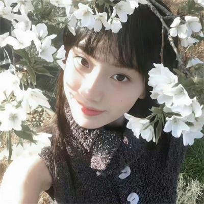 姐姐的情人粤语